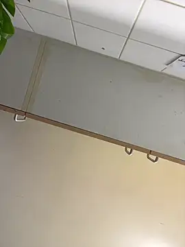 1Zoey101 online show from 19, 3, 2026