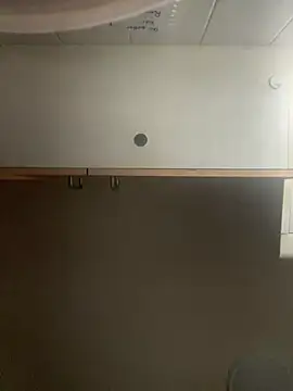 1Zoey101 online show from 28, 3, 2026