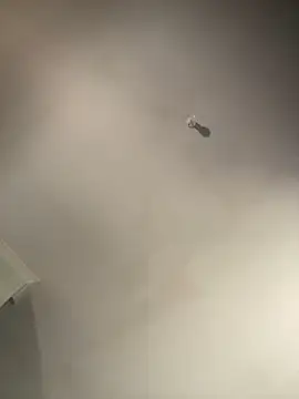 Snapshot of 1Zoey101 chatting on 2, 2, 2026 1Zoey101 online show from 2, 2, 2026