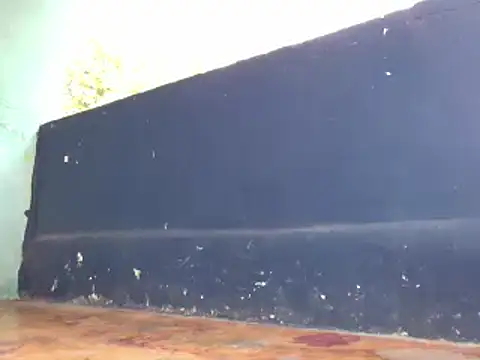 Ladyzee25 online show from 29, 11, 2025