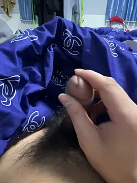 as147859AS online show from 7, 1, 2026