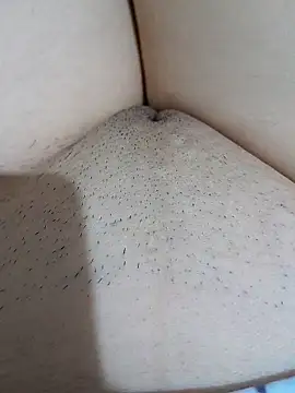 yakot7 online show from 4, 10, 2025