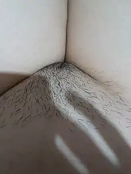 yakot7 online show from 14, 11, 2025