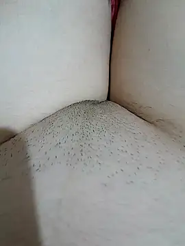 yakot7 online show from 31, 10, 2025