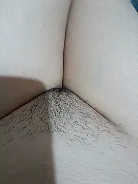 yakot7 online show from 15, 11, 2025