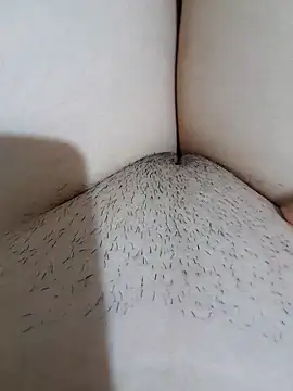 yakot7 online show from 7, 10, 2025