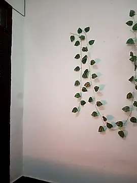 Snapshot of Neha-Bhabhi-Rasily chatting on 20, 2, 2026 Neha-Bhabhi-Rasily online show from 20, 2, 2026