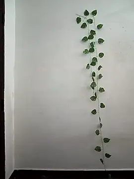 Neha-Bhabhi-Rasily online show from 24, 3, 2026