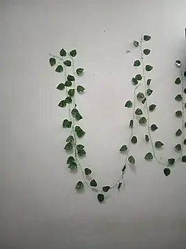 Neha-Bhabhi-Rasily online show from 7, 4, 2026