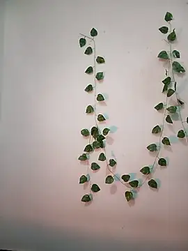 Snapshot of Neha-Bhabhi-Rasily chatting on 18, 2, 2026 Neha-Bhabhi-Rasily online show from 18, 2, 2026