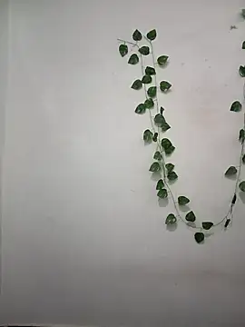 Neha-Bhabhi-Rasily online show from 6, 4, 2026