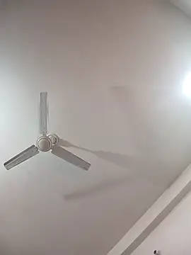 Snapshot of Neha-Bhabhi-Rasily chatting on 11, 2, 2026 Neha-Bhabhi-Rasily online show from 11, 2, 2026