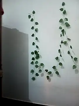 Snapshot of Neha-Bhabhi-Rasily chatting on 17, 2, 2026 Neha-Bhabhi-Rasily online show from 17, 2, 2026