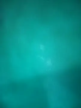 Snapshot of Neha-Bhabhi-Rasily chatting on 29, 10, 2025 Neha-Bhabhi-Rasily online show from 29, 10, 2025