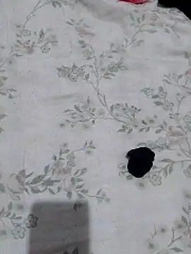 viviksmel online show from 24, 4, 2026