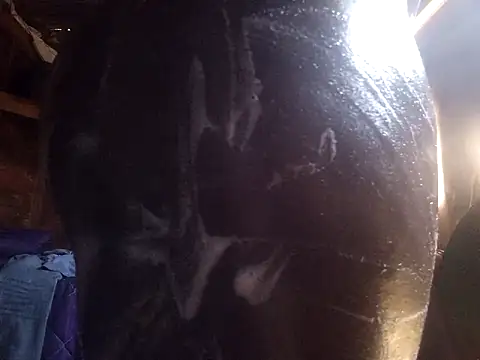 Smart24 online show from 15, 9, 2025