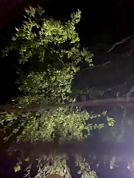 Dasul  online show from 9, 9, 2025