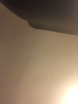 Donnydon79 online show from 4, 3, 2025