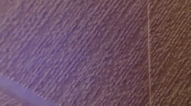 Snapshot of conny99 chatting on 14, 2, 2025 conny99 online show from 14, 2, 2025