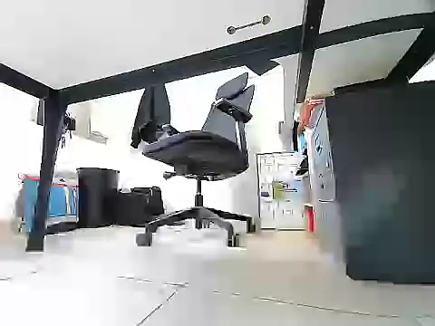 GM51-1988 online show from 8, 9, 2025