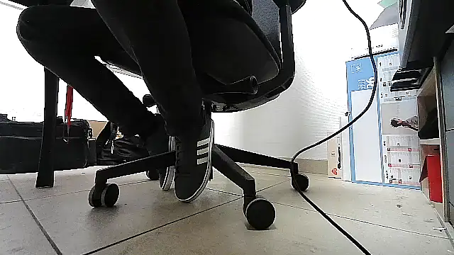 GM51-1988 online show from 12, 1, 2026