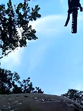 violeta delavega1 online show from 14, 11, 2025