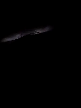 Lunababexoxo online show from 3, 3, 2025