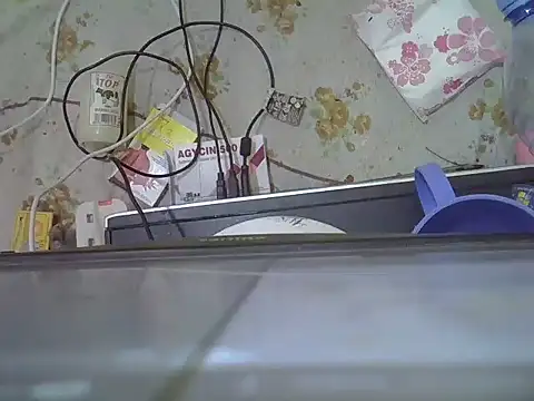 Nubian Nefertiti online show from 15, 1, 2026