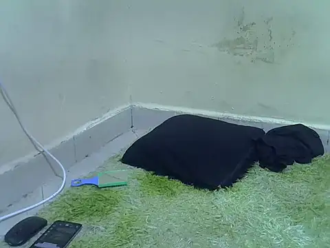 Nubian Nefertiti online show from 18, 3, 2026