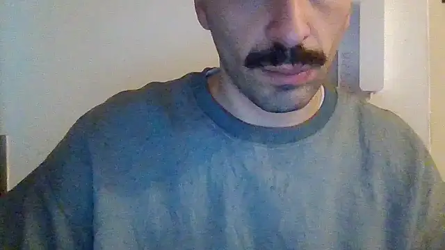 Febo6666 online show from 11, 3, 2025