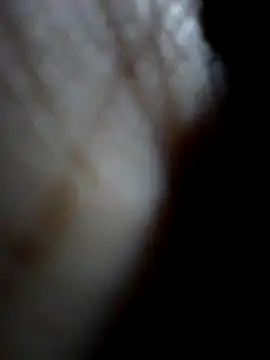 Snapshot of Sandra42 chatting on 15, 12, 2025 Sandra42 online show from 15, 12, 2025