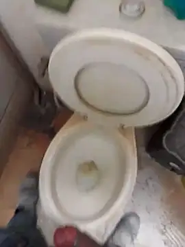 paugrosso553 online show from 8, 11, 2025