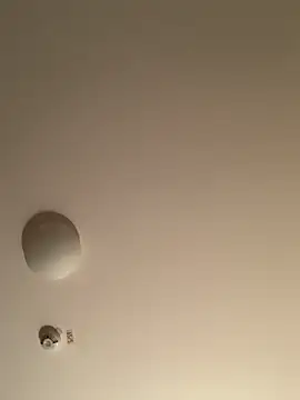 Saysay-7 online show from 20, 11, 2025