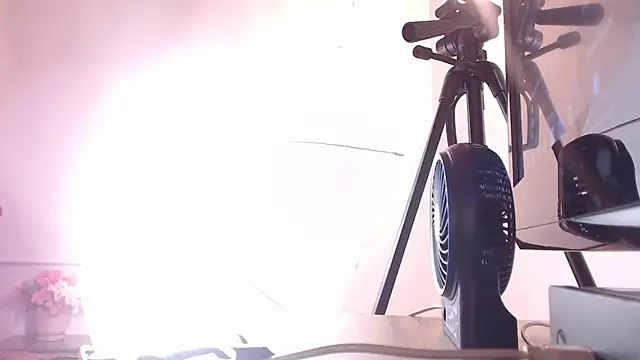 Cattleya gilQS online show from 20, 3, 2025