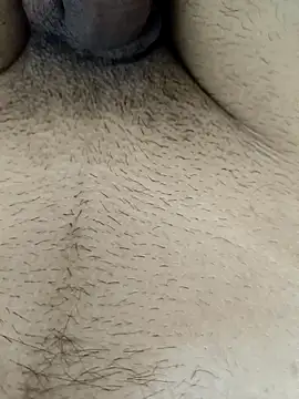 Jaipuri Boy online show from 17, 3, 2025