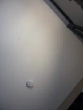 KITTYBOOBOOFUXX online show from 3, 4, 2026