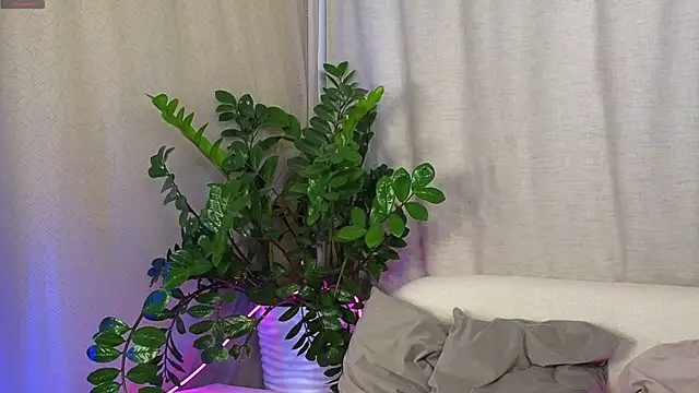 AmeliRoyse online show from 15, 9, 2025