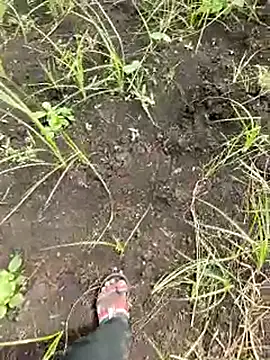 himvilohi08 online show from 1, 10, 2025