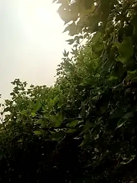 himvilohi08 online show from 22, 10, 2025