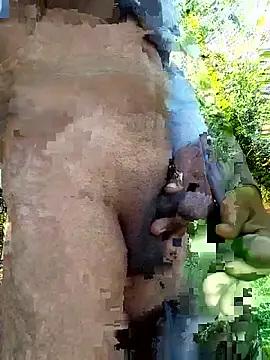 himvilohi08 online show from 14, 12, 2025