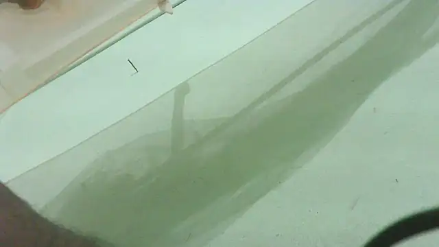 CrazyMove83 online show from 25, 2, 2026