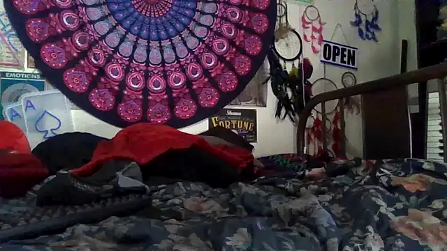 GardeniaFields online show from 4, 4, 2026