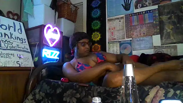 GardeniaFields online show from 2, 10, 2025