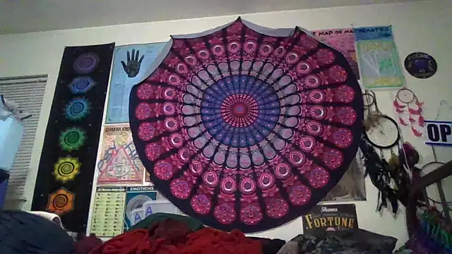 GardeniaFields online show from 20, 3, 2026