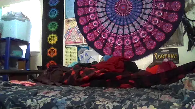 GardeniaFields online show from 22, 2, 2026