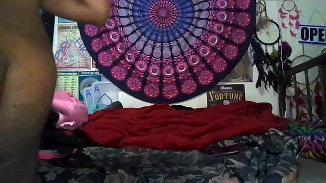 GardeniaFields online show from 8, 3, 2026