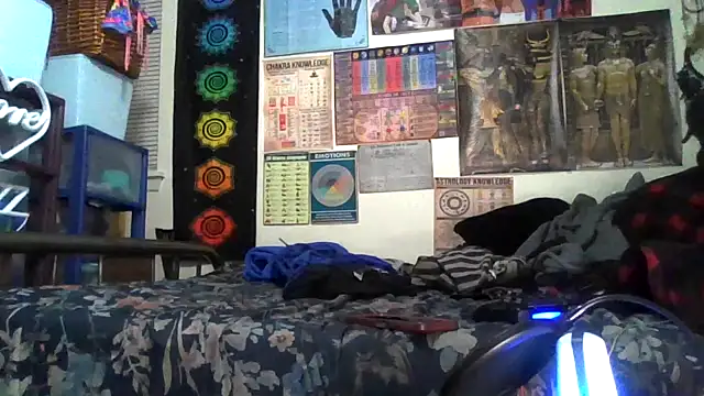 GardeniaFields online show from 4, 11, 2025