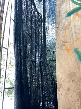 val zx online show from 10, 9, 2025