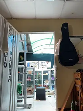 val zx online show from 11, 9, 2025