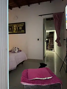 Paulet Johnson online show from 18, 1, 2026